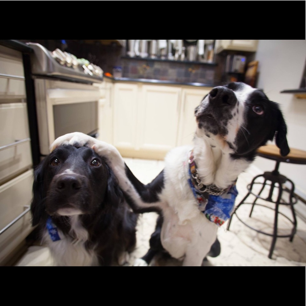 Meet your Posher, Marleyfashions!